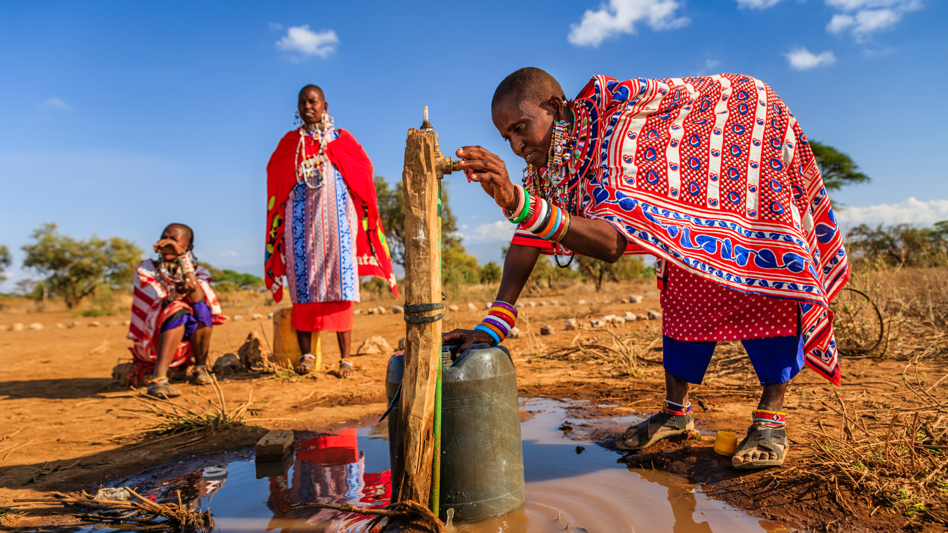 Women In Food Security SUMMIT 2025 6